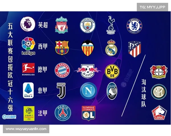 欧冠、法甲、英超与意甲联赛特点深度对比与分析