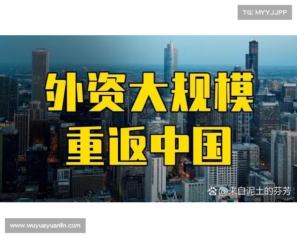 如何提升外资对中国市场的投资信心和长期发展的稳定性