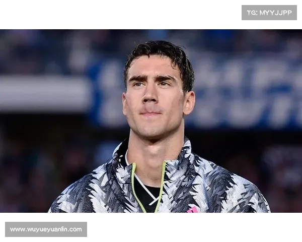 弗拉霍维奇回归巅峰的四大关键因素解析 弗拉霍维奇回归巅峰的四大关键因素解析