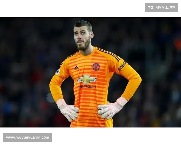 德赫亚社交媒体分享与队友训练视频展现默契与拼搏精神