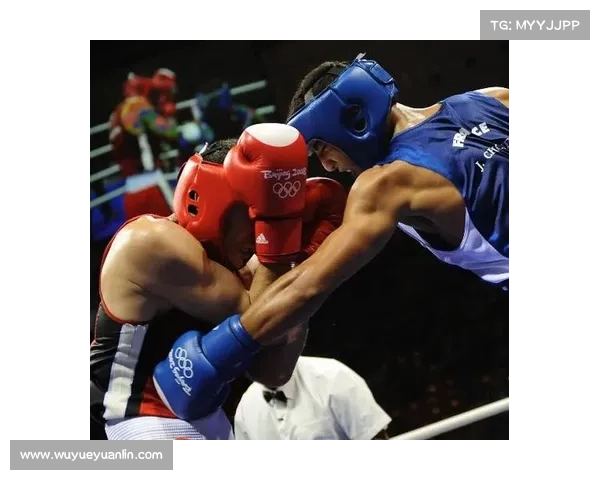 拳击比赛精彩瞬间剖析：节目内容结构与赛制规则全面解析