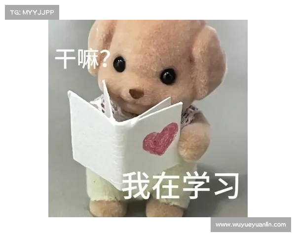 探索森贝儿系列表情包的独特魅力与文化符号解析