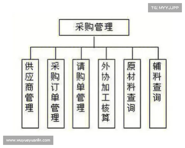 推动足球俱乐部财务管理创新提升运营效率与可持续发展策略